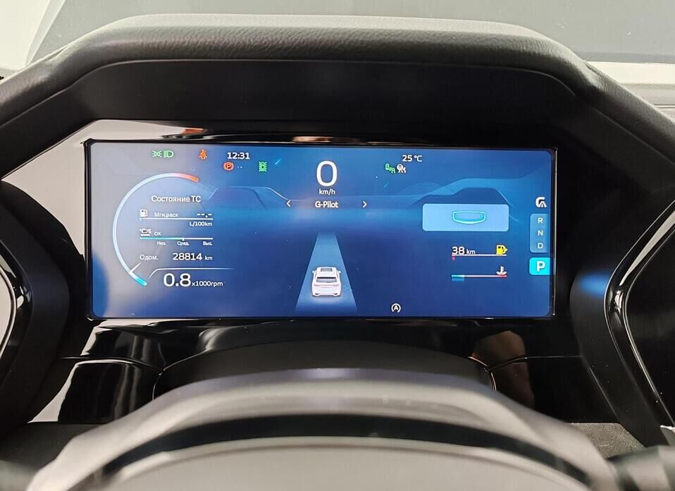 Geely Monjaro, I 2.0 AT (238 л.с.) 4WD